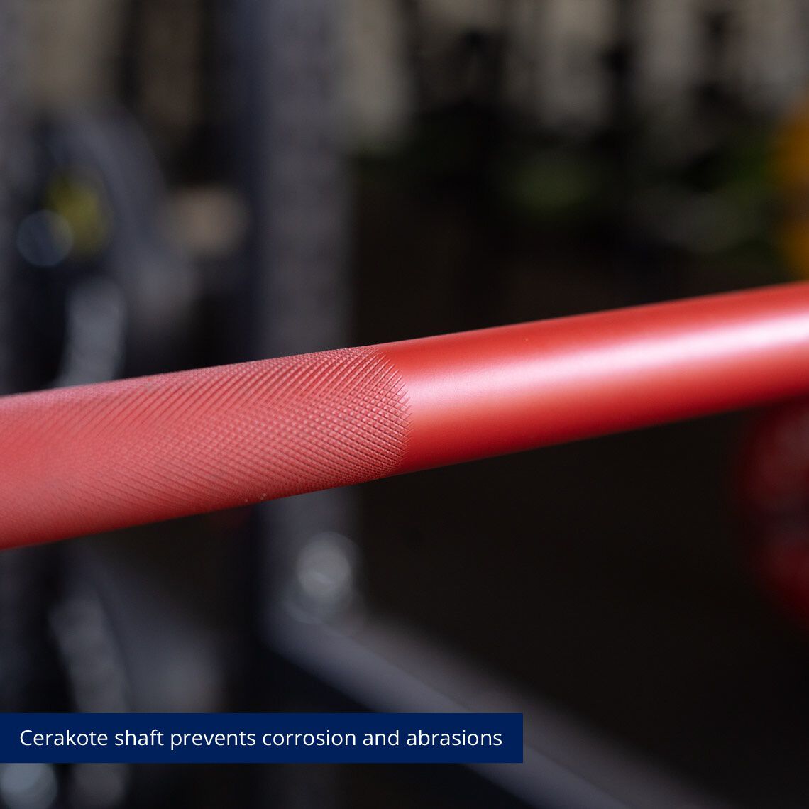 Scratch and Dent - Women’s Olympic Bombshell Bar