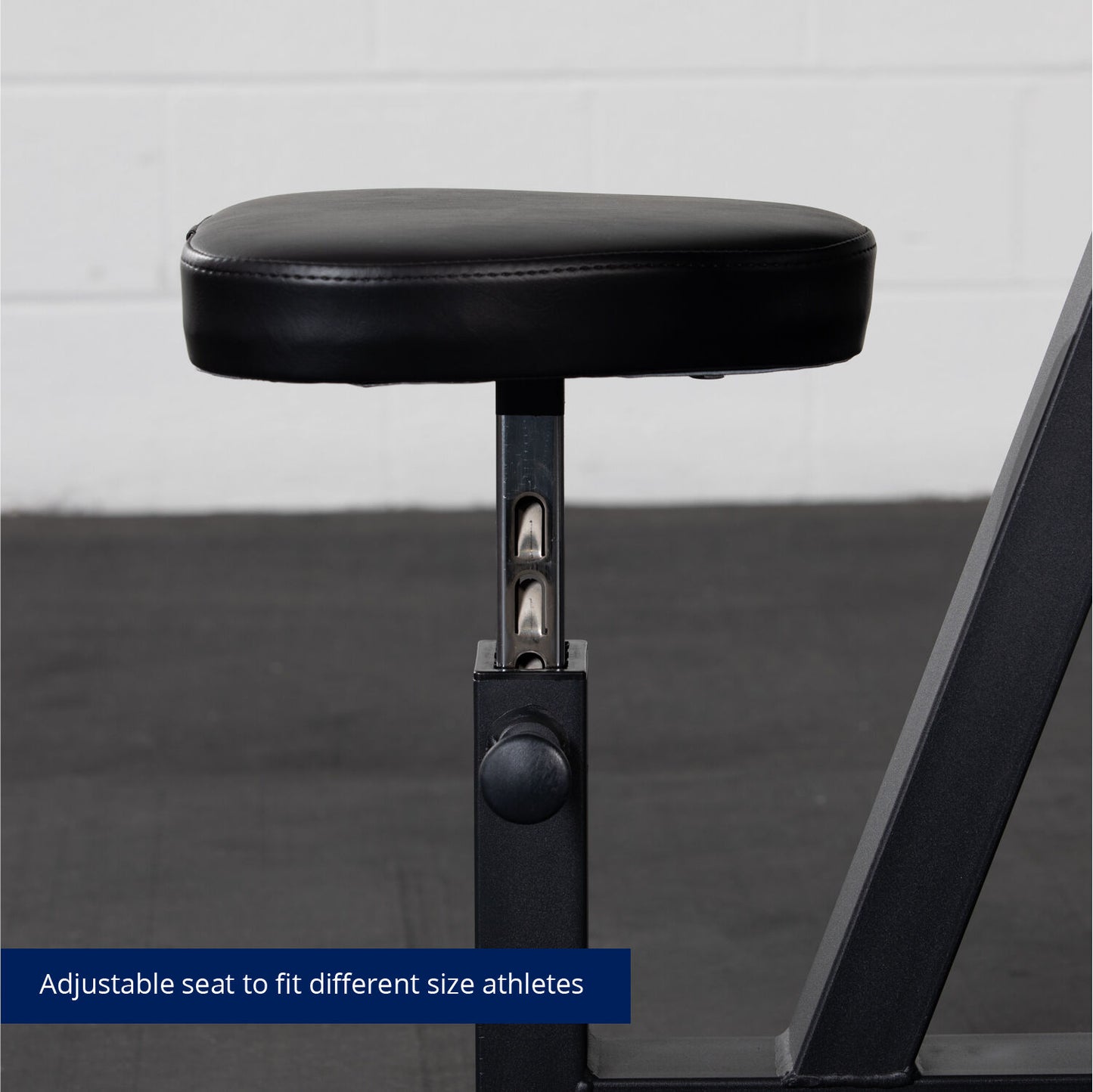 SCRATCH AND DENT - Preacher Curl Bench V2 - FINAL SALE - view 7