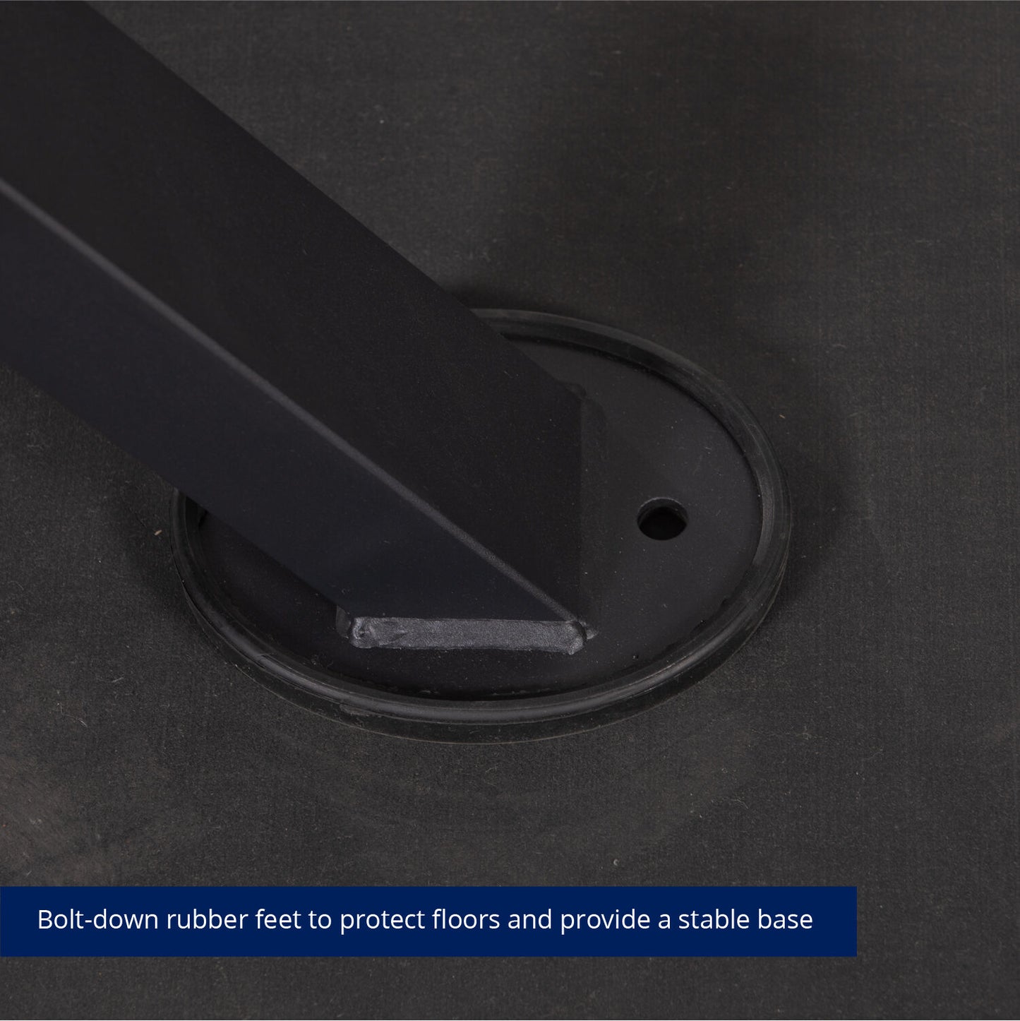 SCRATCH AND DENT - Preacher Curl Bench V2 - FINAL SALE - view 9