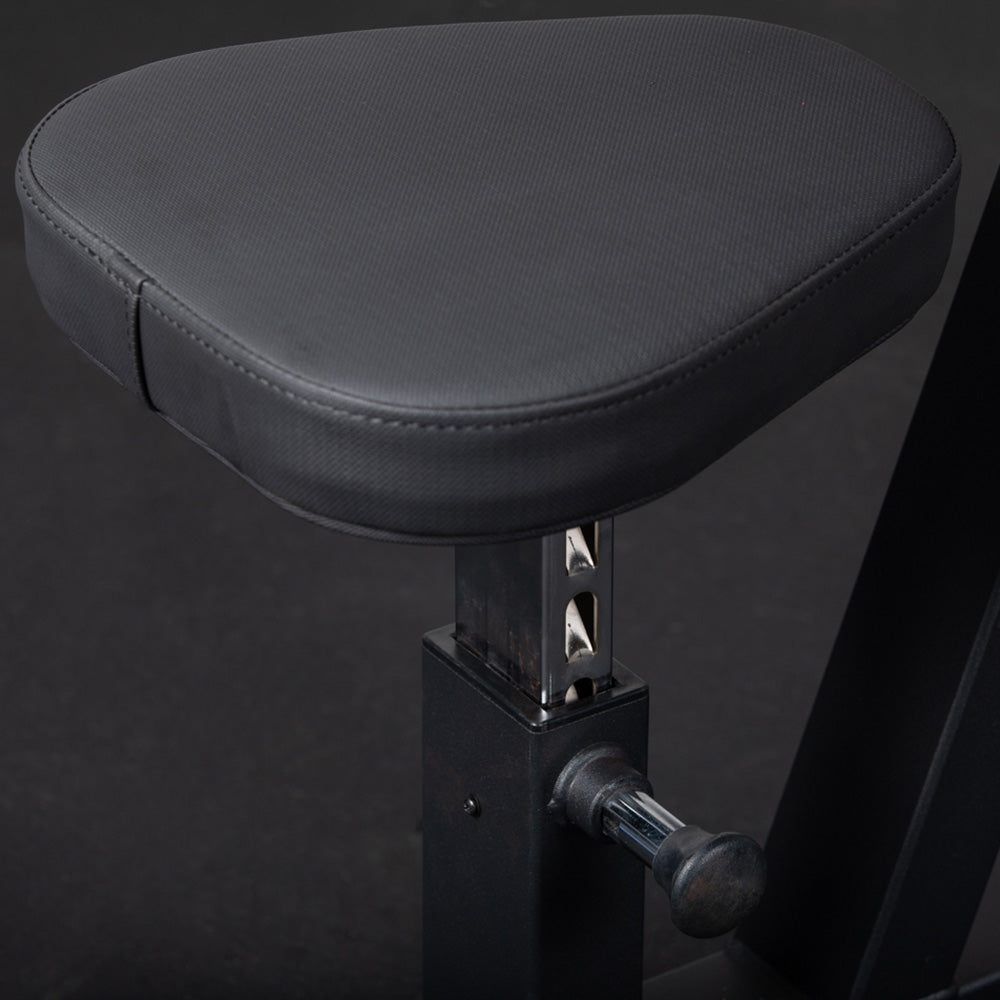 Preacher Curl Bench