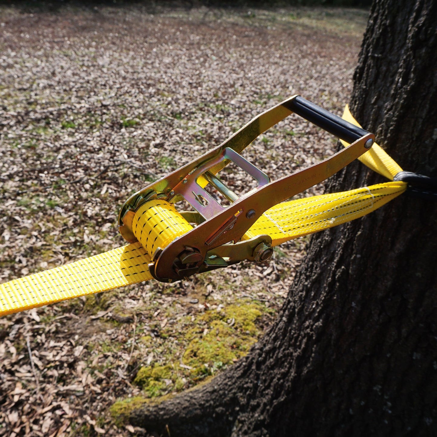 Scratch and Dent - 50' Slackline Kit w/ Hook & Ratchet Closer - FINAL SALE - view 3