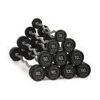 20 LB - 110 LB EZ Curl Fixed Urethane Barbells