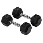 10 LB Rubber Hex Dumbbells