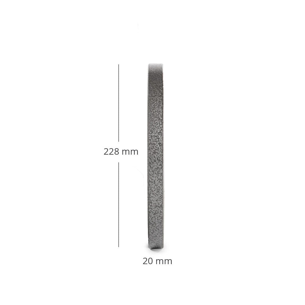 SCRATCH AND DENT - 10 LB Pair Silver Series Cast Iron Olympic Plates - FINAL SALE - view 3