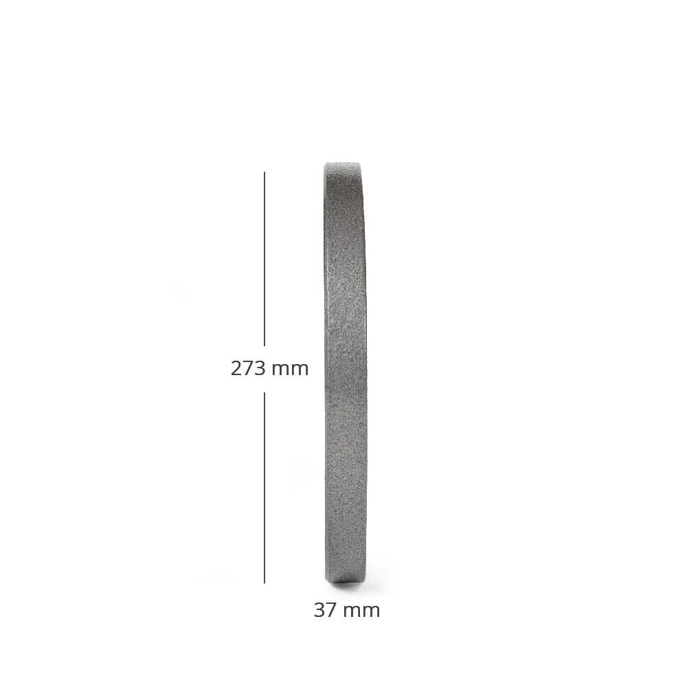 SCRATCH AND DENT - 25 LB Pair Silver Series Cast Iron Olympic Plates - FINAL SALE - view 3