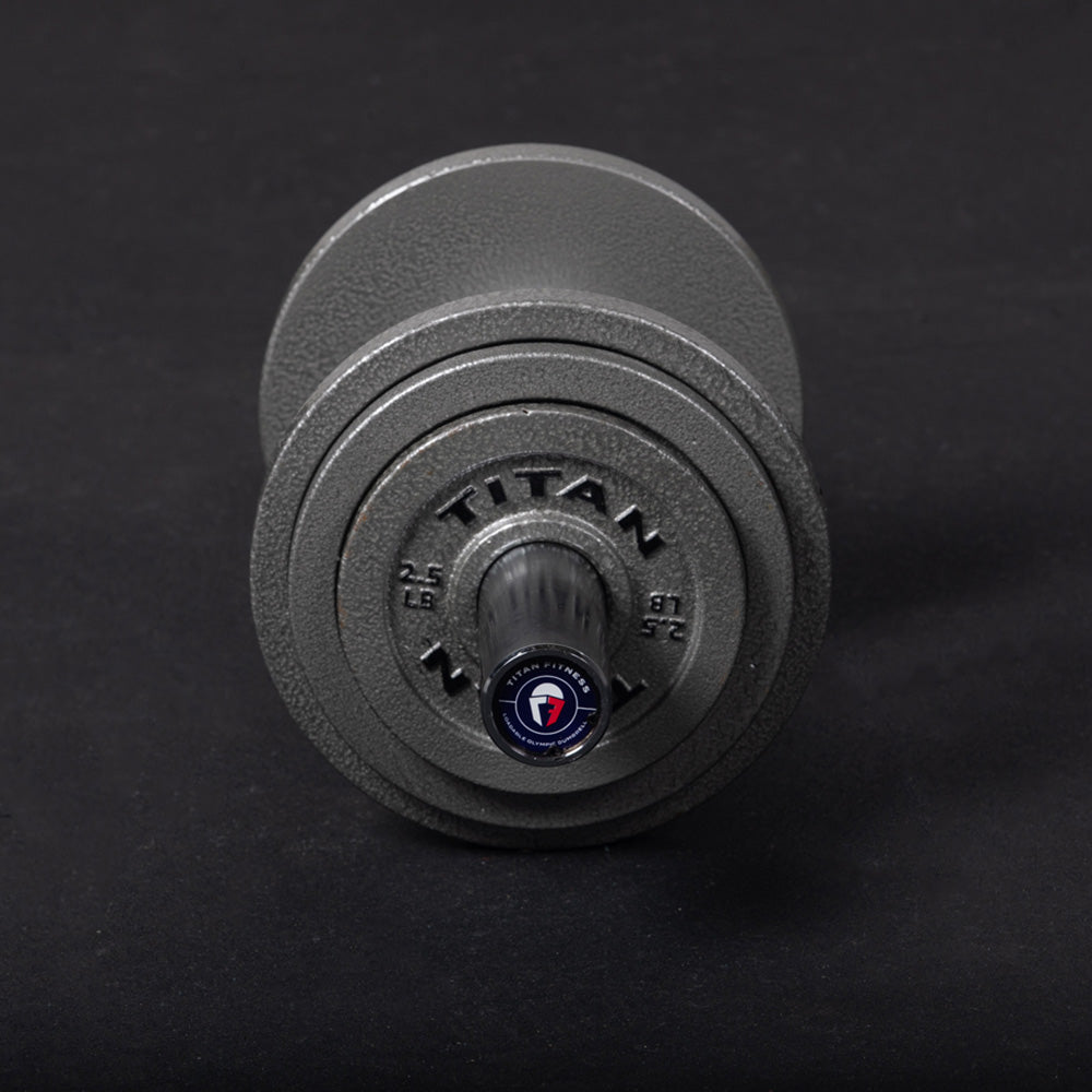 Loadable 20" Olympic Dumbbell Handles - Pair