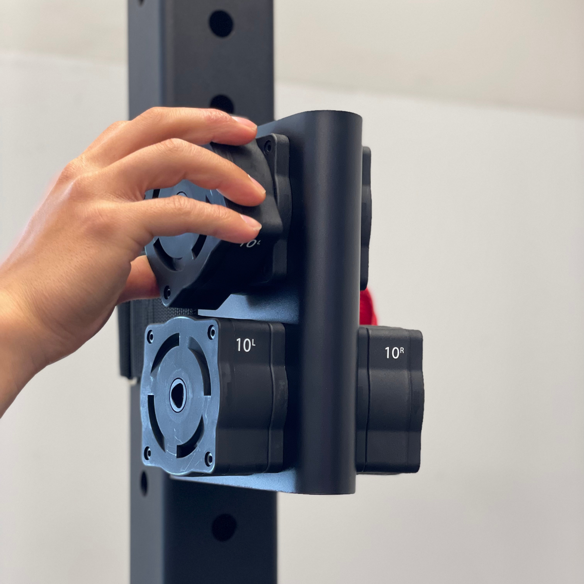 Ancore Plate Dock | Strap Mounted